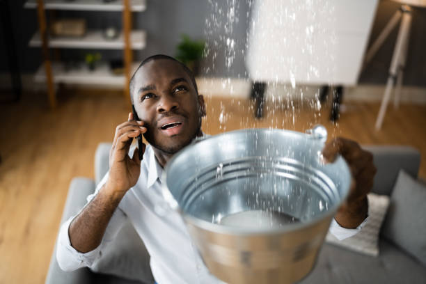 Best Ceiling water damage repair  in Marlboro Meadows, MD