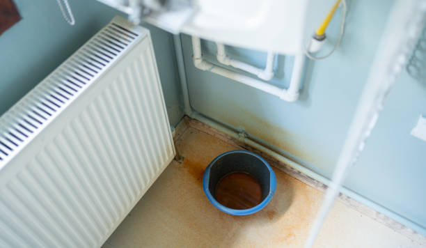 Best Water damage restoration near me  in Marlboro Meadows, MD
