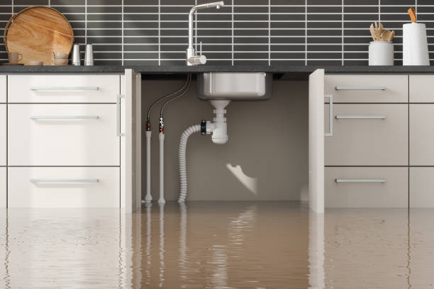 Best Water damage contractors near me  in Marlboro Meadows, MD